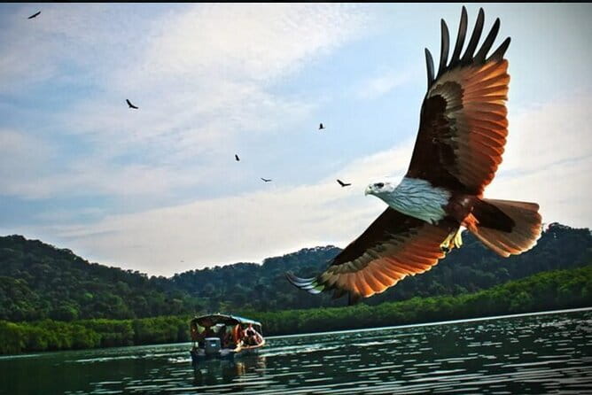 Private Langkawi Departure Transfer to Airport - Cancellation and booking details to keep handy