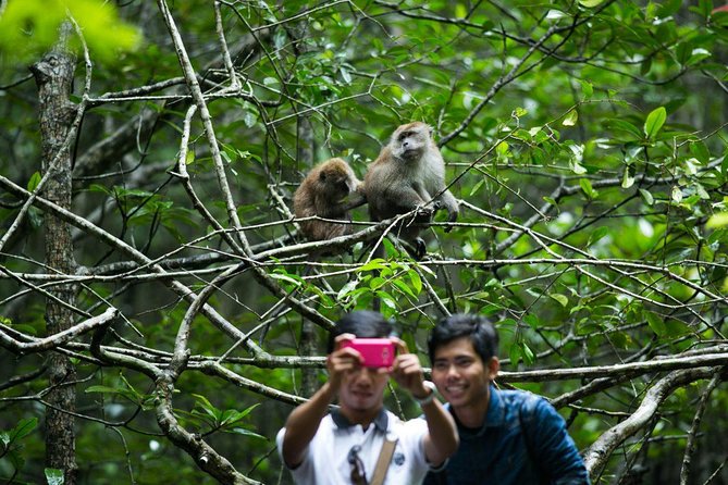 Private Mangrove Tour 3 Hour (max 8 People) - Key points to know before booking