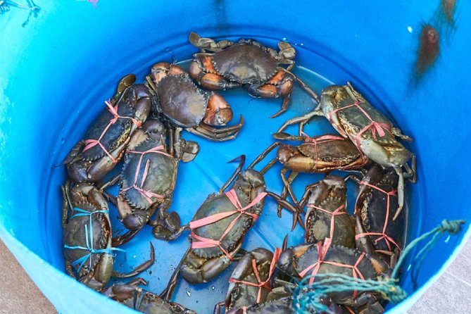 Private Tour: Crab Island Sightseeing Boat Ride and Seafood Lunch - Who will enjoy this half-day outing