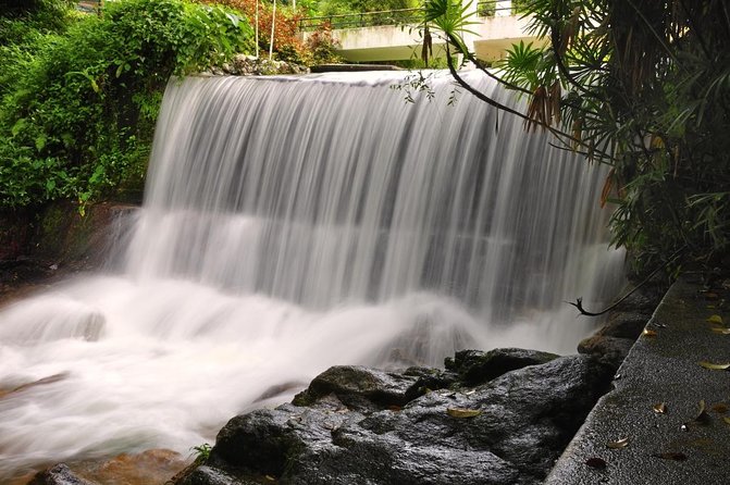 Private Tour: Full Day Center Penang Island Tour - What makes this Penang tour worth considering