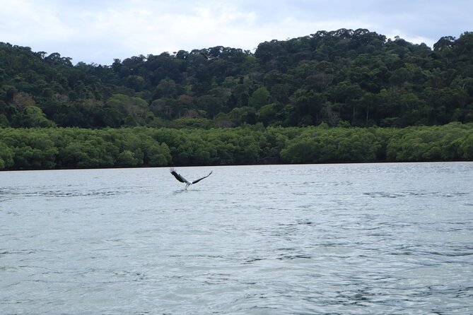 Private Tour: Southern Island Geopark Tour from Langkawi - Beras Basah Island for swimming and sun
