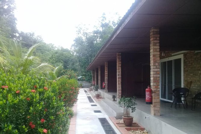 Private Transfer to Taman Negara from Kuala Lumpur - The Four-Hour Road Journey