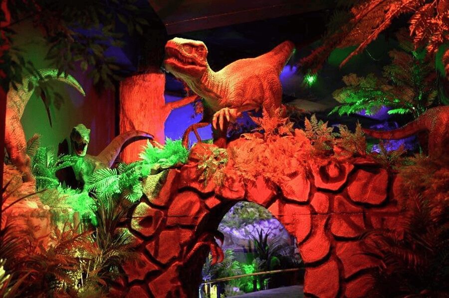 Putrajaya: Wetland Studios Admission Ticket - The insect displays and the young-child warning