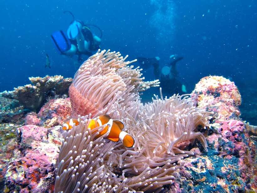 RAID Try-Dive in Kota Kinabalu, Sabah - Key points at a glance