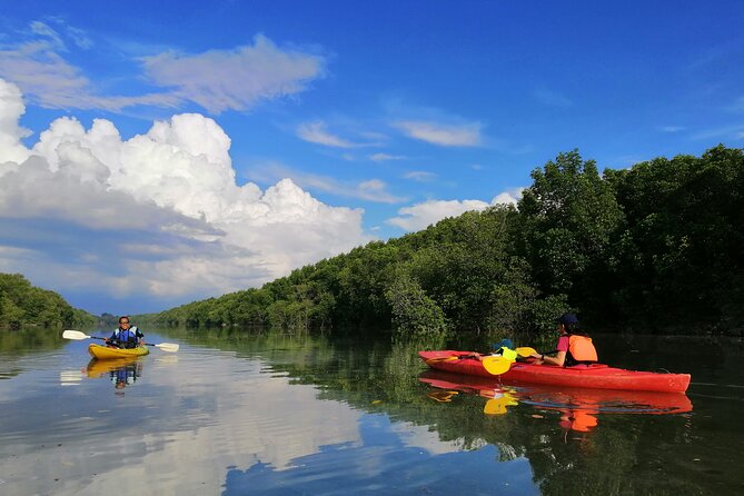 River Exploration and Mangrove Nature Tour by kayaking - Key points to know before booking
