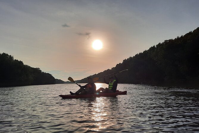 River Exploration and Mangrove Nature Tour by kayaking - Why Sepang River makes a good half-day outing