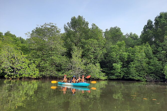 River Exploration and Mangrove Nature Tour by kayaking - What the four-hour paddle feels like