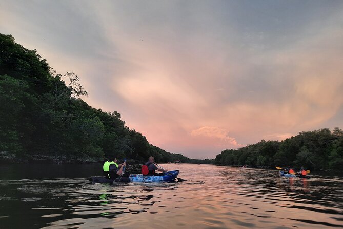 River Exploration and Mangrove Nature Tour by kayaking - Morning kayaking or sunset kayaking?