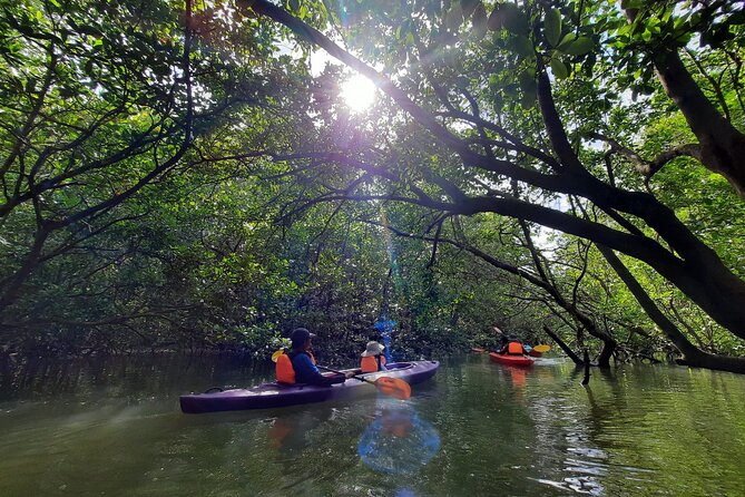 River Exploration and Mangrove Nature Tour by kayaking - The snack stop and what is included