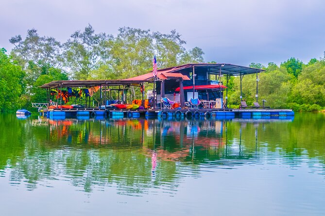River Exploration and Mangrove Nature Tour by kayaking - How much value do you get for $83.41?