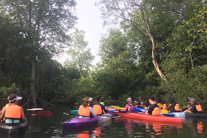 River Exploration and Mangrove Nature Tour by kayaking - Starting at the fishing jetty and floating house