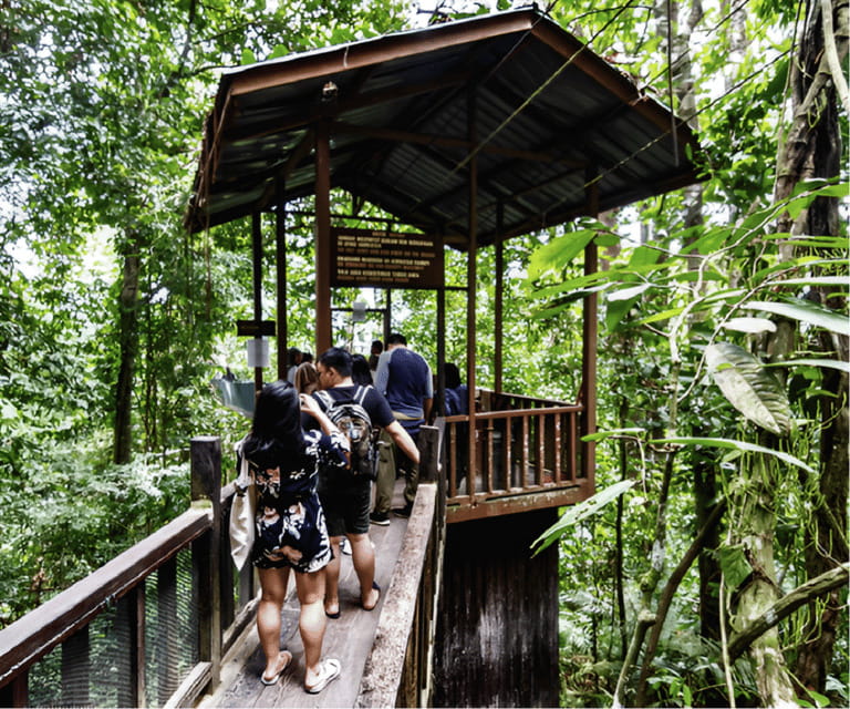 Sabah: Kinabalu Park, Hot Springs, and Cow Farm Day Tour - The canopy walkway closure changes the value