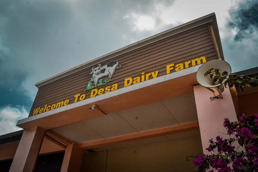 Sabah: Kinabalu Park, Poring Hot Springs & Desa Farm Tour - Who will enjoy this day most