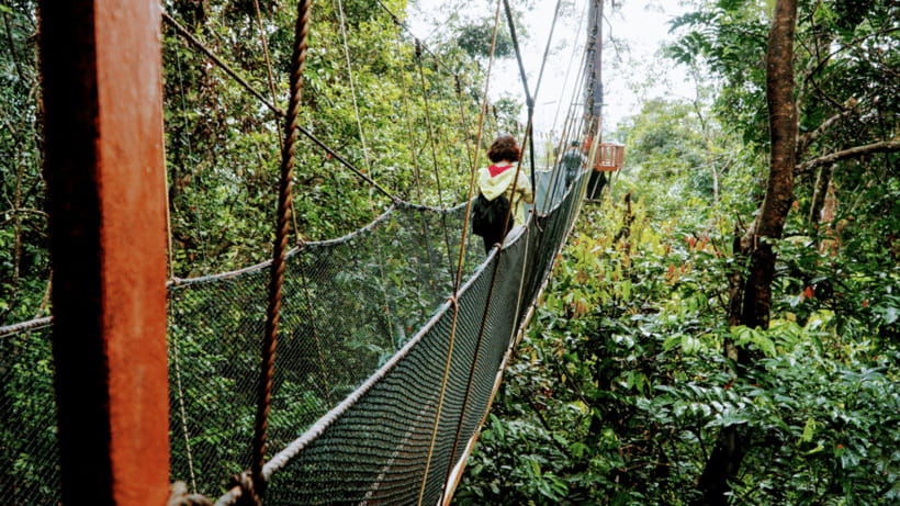 Sabah: Kundasang Nature Day Tour - The Moroli River fish spa is short, social, and memorable