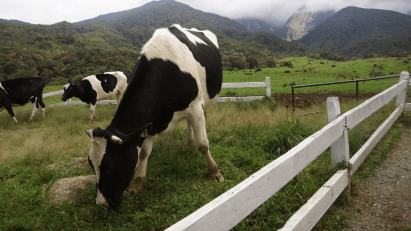 Sabah: Kundasang Nature Day Tour - Poring Hot Spring gives you a chance to slow down