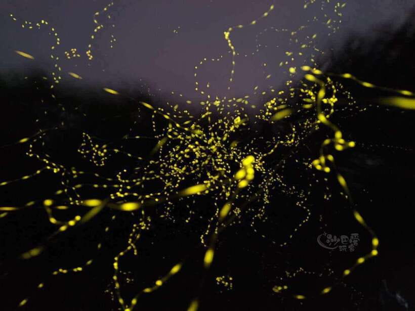 Sabah: Mangrove Fireflies, and Sky Mirror Dream Beach Tour - Local refreshments set the tone