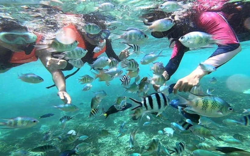 Sabah: Mantanani Island Day Tour with Lunch - The long road from Kota Kinabalu to the jetty