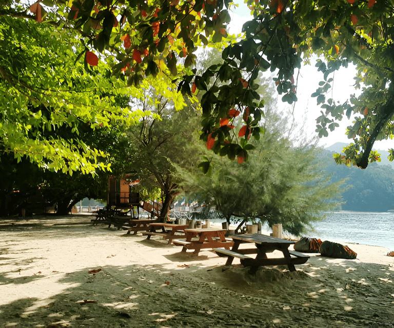 Sabah: Manukan and Sapi Islands Excursion Ticket - What the boat rides add to the day