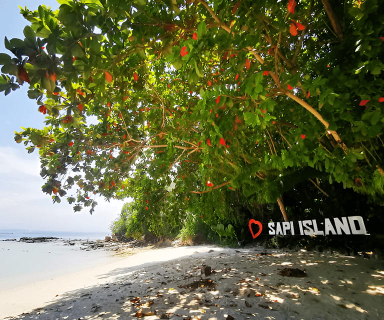 Sabah: Manukan and Sapi Islands Excursion Ticket - Snorkeling, swimming, and the family question