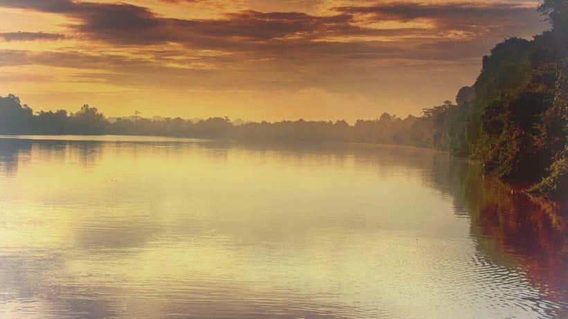 Sandakan: 2 Days 1 Night Bilit, Kinabatangan River Wildlife - From Sandakan to the Kinabatangan River