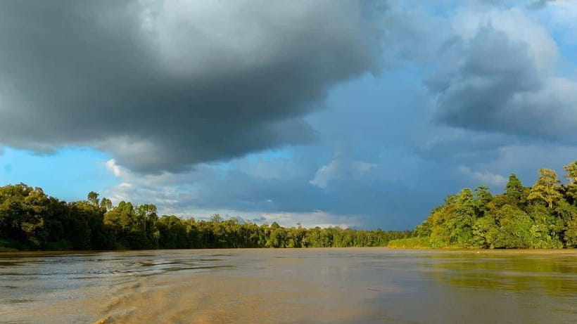 Sandakan: 2 Days 1 Night Bilit, Kinabatangan River Wildlife - Packing for heat, insects, and sudden rain