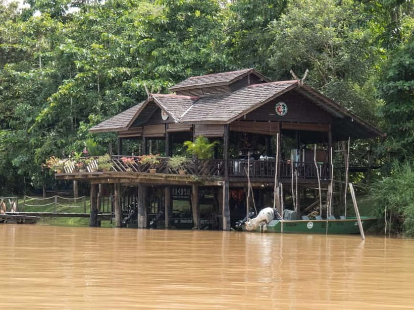 Sandakan: 3D2N The Wild Heart of Borneo River Secrets - The jungle walk and the smaller signs of life