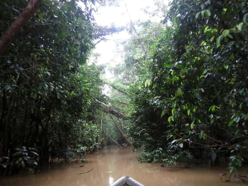 Sandakan: 3D2N The Wild Heart of Borneo River Secrets - Guides, boats, and group size