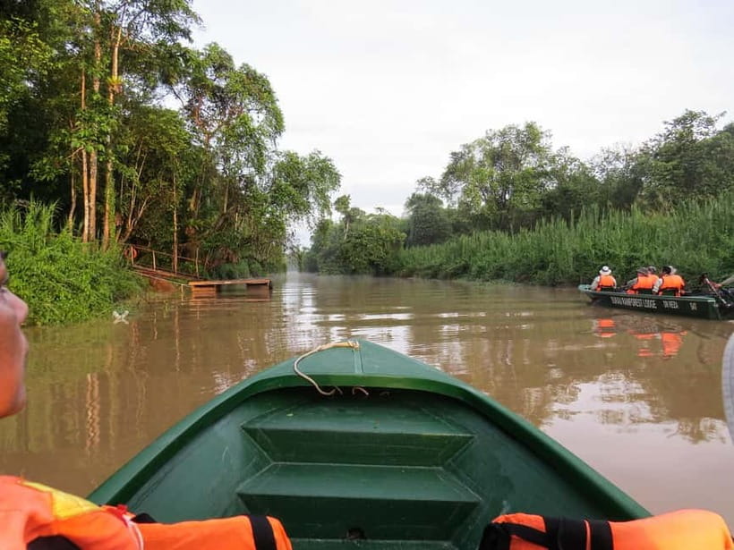 Sandakan: 3D2N The Wild Heart of Borneo River Secrets - Four cruises, four different chances