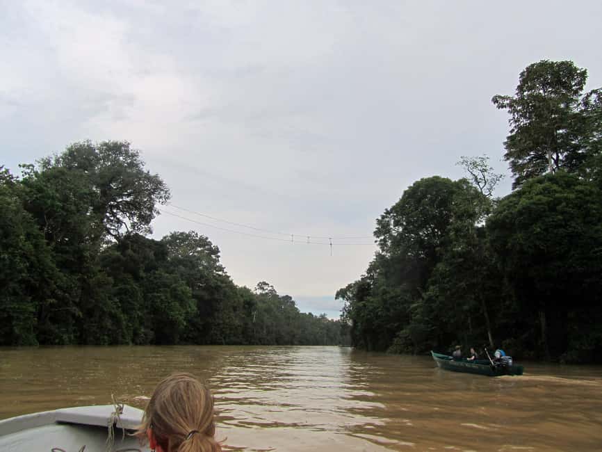 Sandakan: Gomantong Cave Echoes & Kinabatangan River Safari - The day’s key points