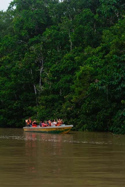 Sandakan: Kinabatangan River Wildlife Cruise with Lunch - Lunch at Sepilok Jungle Resort