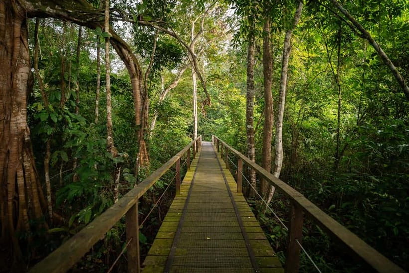 Sandakan: Kinabatangan River Wildlife Cruise with Lunch - Two hours by van to Bilit