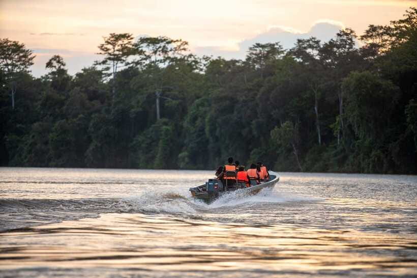 Sandakan: Kinabatangan River Wildlife Cruise with Lunch - The return to Sandakan