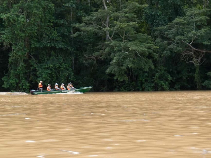 Sandakan: Sukau Rainforest Wildlife Journey & Dawn Cruises - Key points before you book