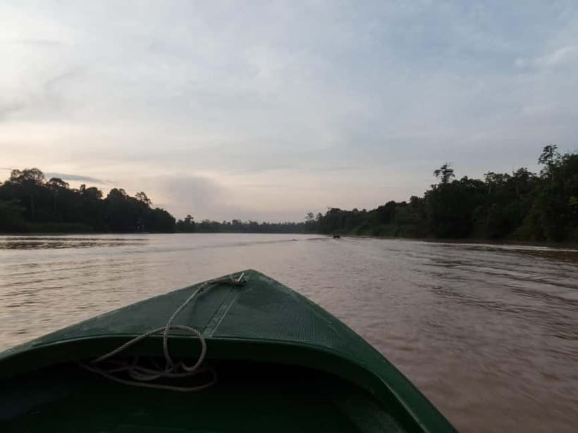 Sandakan: Sukau Rainforest Wildlife Journey & Dawn Cruises - Why the Kinabatangan River matters
