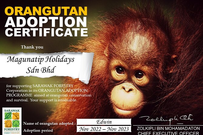 Semenggoh Orangutan Center & Sarawak Cultural Village - Semenggoh Wildlife Centre and the search for orangutans