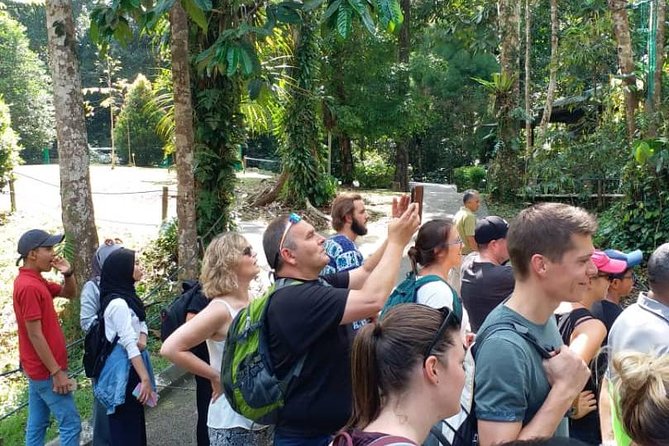 Semenggoh Orangutan Centre from Kuching - What Semenggoh is trying to achieve