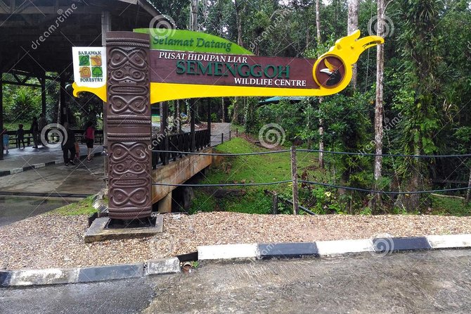 Semenggoh Wildlife Centre Tour: Discover Sarawak’s Orangutans - The main risk: no orangutans on the day