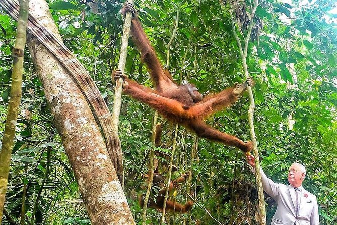 Semenggoh Wildlife Centre Tour: Discover Sarawak’s Orangutans - Entering Semenggoh Wildlife Centre