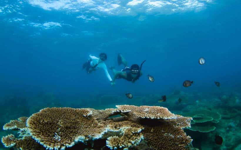 Semporna: Explore 3 Islands Tour Snorkel or Dive & Lunch - What this Semporna day really offers