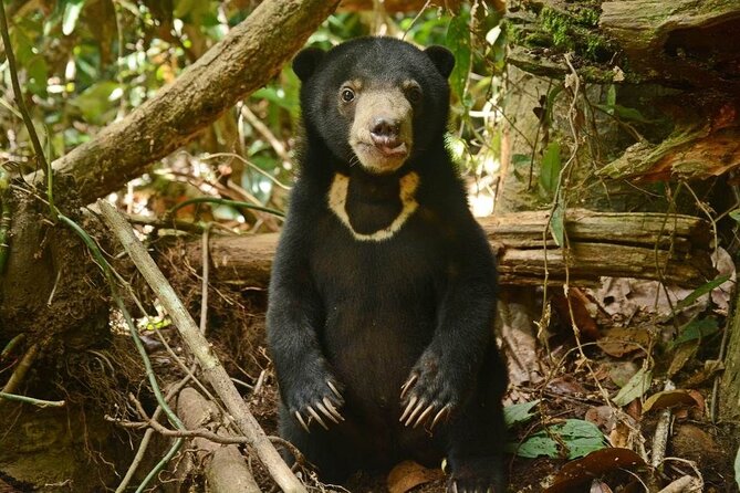 Sepilok Orang Utan, Sun Bear & Sandakan Nature City Tour + Lunch - St Michael’s Church and Sandakan’s older buildings