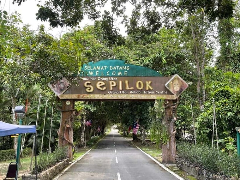 Sepilok OrangUtan, Sun Bear & Labuk Bay Full Day Trip - Key points at a glance