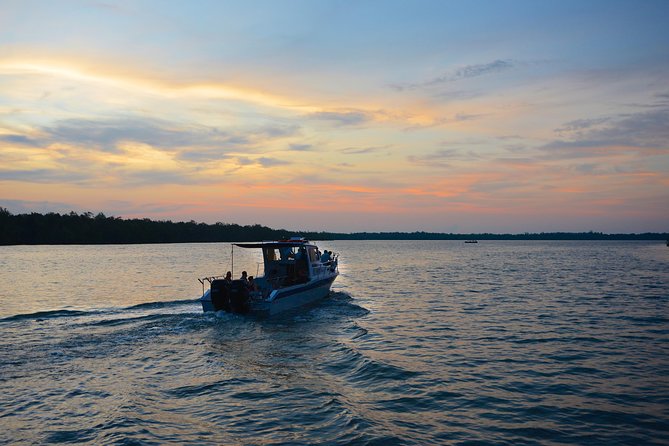 Shared Mangrove & Irrawaddy Dolphin Watching Cruise - Key points to know before you go