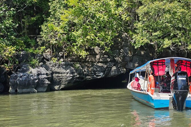 Sharing Half Day Mangrove Boat Tour With Lunch in Langkawi - Key things to know before you go