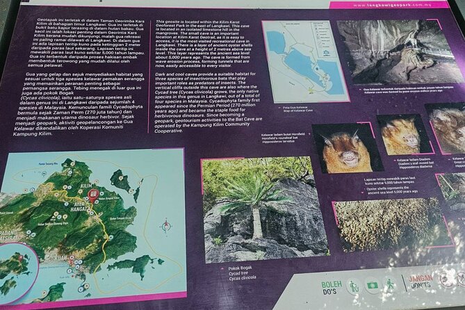 Sharing Half Day Mangrove Boat Tour With Lunch in Langkawi - Why this five-hour Langkawi tour is worth considering