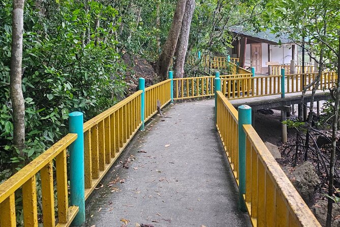 Sharing Half Day Mangrove Boat Tour With Lunch in Langkawi - Limestone cliffs and the shape of the Kilim Geoforest