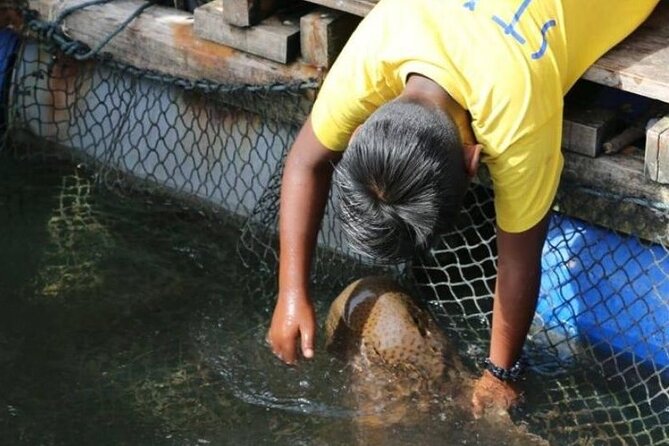 Sharing Half Day Mangrove Boat Tour With Lunch in Langkawi - Crocodile Cave, or Gua Buaya