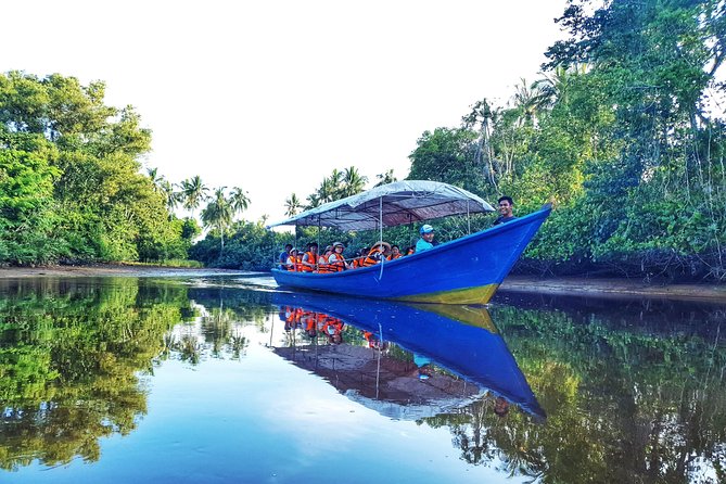 Sky-Mirror Photographing and Proboscis Monkey & Fireflies Watching River-Cruise - Key points before you book