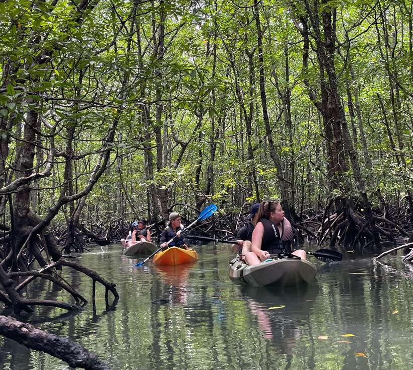 Small Group, Big Heart: Kilim Karst Mangrove Kayak Adventure - My booking advice