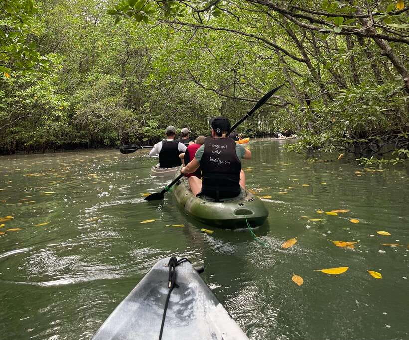 Small Group, Big Heart: Kilim Karst Mangrove Kayak Adventure - Is $69 a good value?