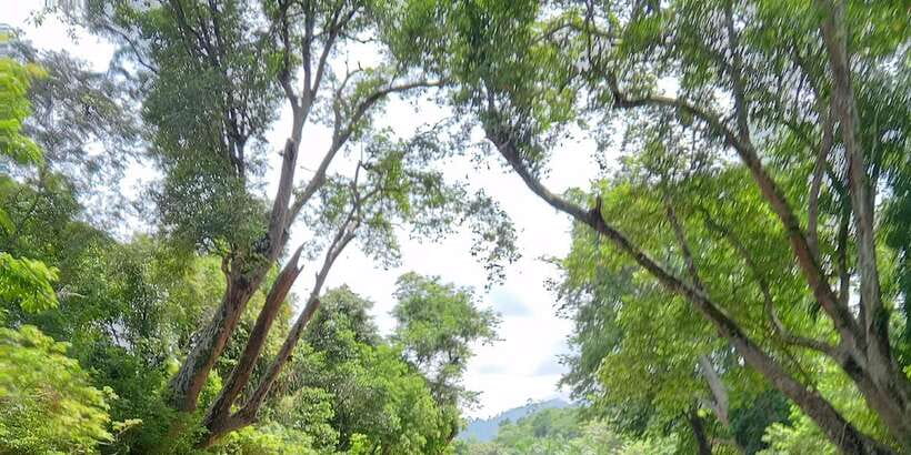 Sungai Berang Wildlife & Cultural Kayak Tour - Learning tabang and nyacor by the river